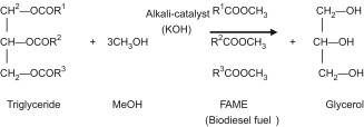 废食用油制生物柴油的生产可能性边界分析：正文图 1